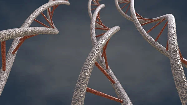 Three DNA chains
