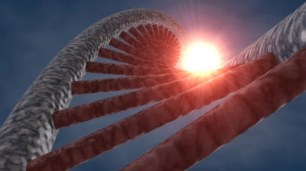 DNA řetězce 3d — Stock fotografie