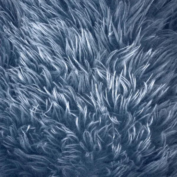 Gök mavisi kürklü arka plan, yakından. Yün deri dokusu. Soyut mavi kürk gece arkaplanı. Tasarım için yumuşak turkuaz desen. Fuzzy Bright Teal. Kumaş kopyalama alanı renkli arkaplan