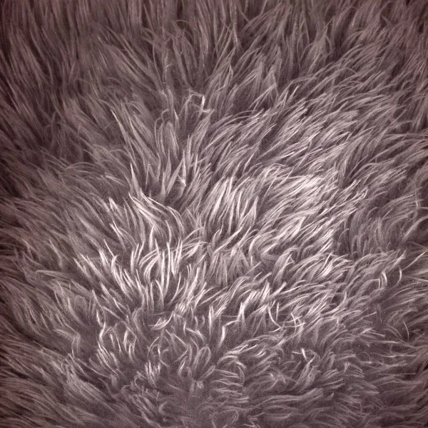 Gökyüzü kırmızı kürklü arka plan, yakından. Yün deri dokusu. Soyut kırmızı kürk gece arkaplanı. Tasarım için kabarık desen. Fuzzy Bright Teal. Kumaş kopyalama alanı renkli arkaplan