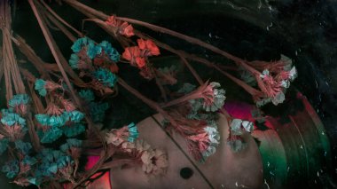 Vinil plak müziğindeki kuru çiçek yakın plan. Romantik melodi. Yağmurlu ruh hali eski müzik görüntüsü. Geçmişe dönük müzik kalıpları. Vinil plaka. Retro biçimlendirilmiş fotoğraf.