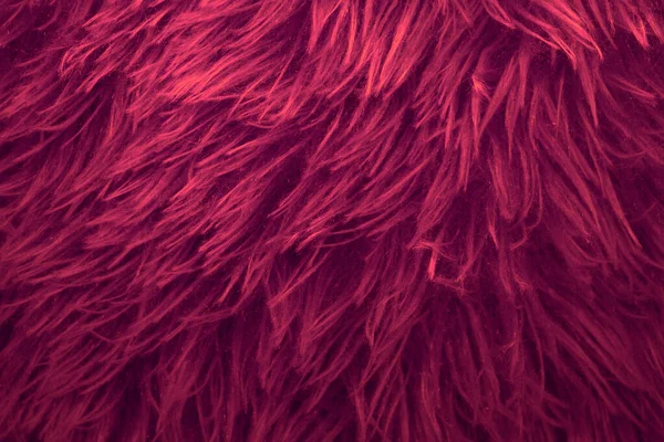 Bright Color Furry Texture Backdrop Close Texture Wool Skin Abstract — Photo