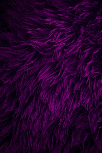 Bright Color Furry Texture Backdrop Close Texture Wool Skin Abstract — Zdjęcie stockowe