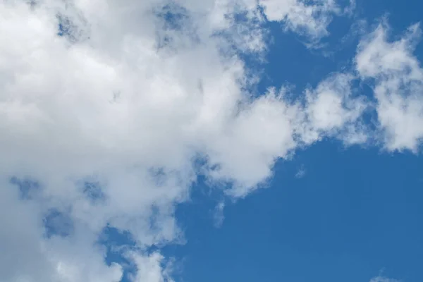 White clouds on a blue background. A fluffy and soft cloud. Blue cloud background.