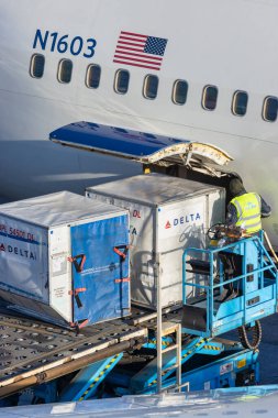 Hollanda, Schiphol Havaalanı 'ndaki bir Delta Havayolları uçağına kargo konteynırları yüklüyorlar.