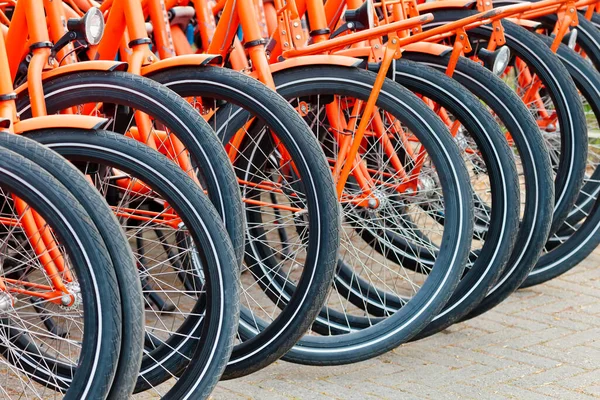 Primer Plano Una Fila Bicicletas Alquiler Holandesas Naranjas —  Fotos de Stock