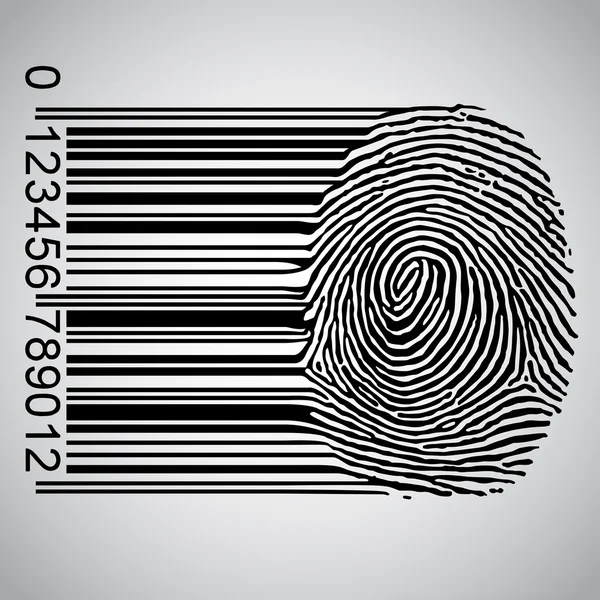 Fingerprint becoming barcode — Stock Vector