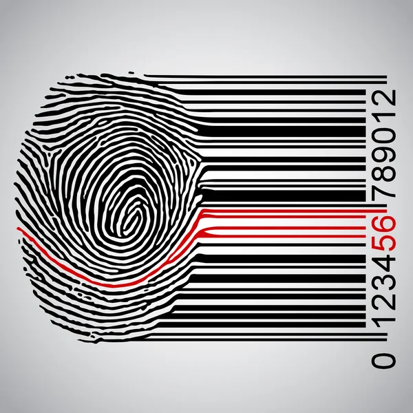 Fingerprint connected to a bar code — Stock Vector