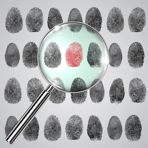 Fingerprints — Stock Vector