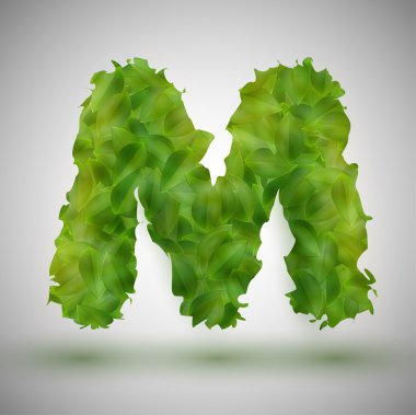 Yaprakları tarafından yapılan bir mektup