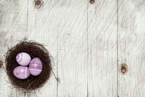 Ostereier im Nest — Stockfoto