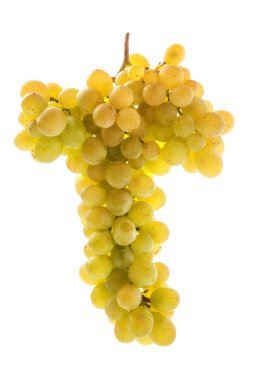 Beyaz olgun üzüm