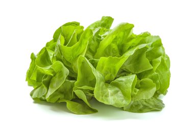 Beyaz arkaplanda marul