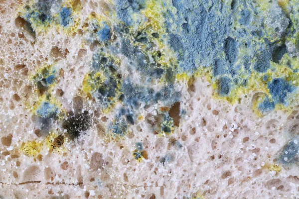 Background Mouldy Bread — Stock Photo, Image