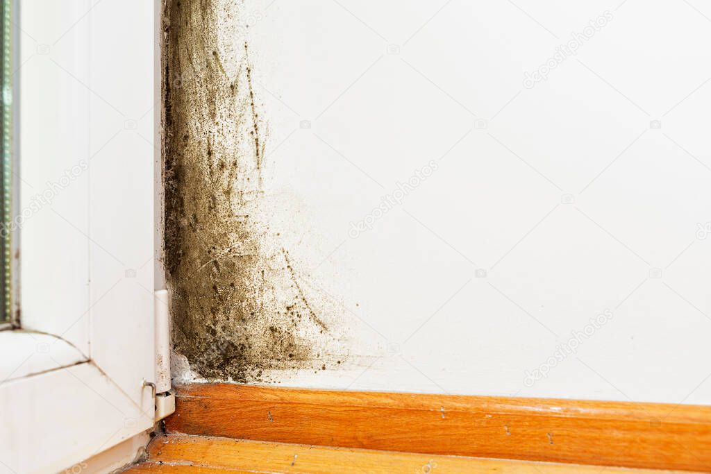  Black mould and fungus on wall near window, the problem of ventilation, dampness, cold in the apartment