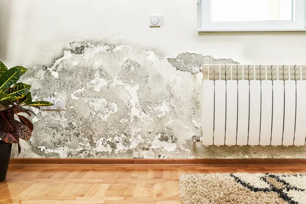 Mold and moisture buildup on wall of a modern house — Stock Photo, Image