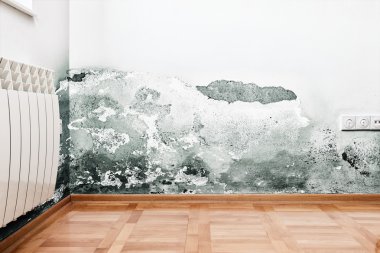 Damage caused by damp on a wall in modern house clipart