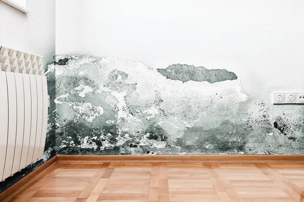 Feuchtigkeitsschäden an Wand in modernem Haus lizenzfreie Stockbilder