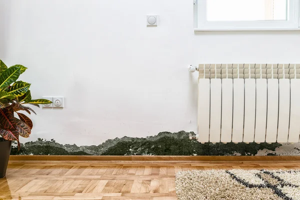 Mold and moisture buildup on wall of a modern house — Stock Photo, Image