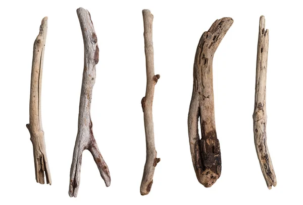 Set of dry tree branch — Stock Photo, Image