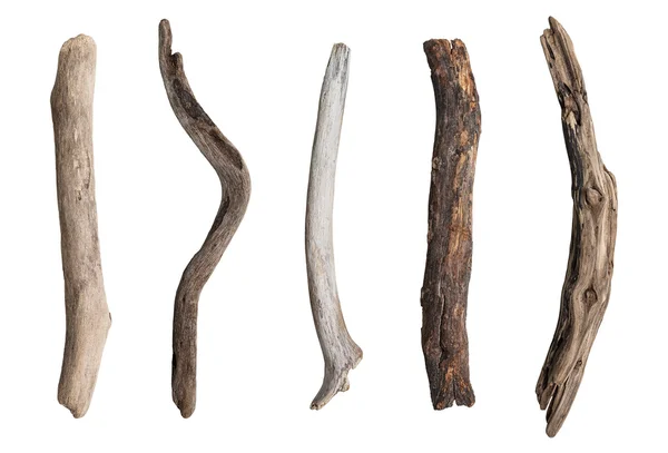 Set of dry tree branch — Stock Photo, Image