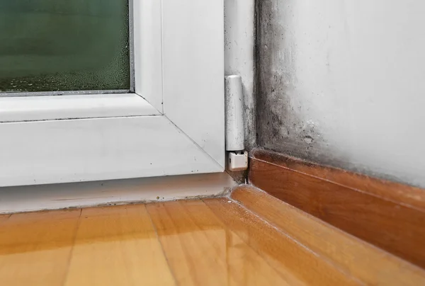 Moisture and mold -Problems in a house — Stock Photo, Image