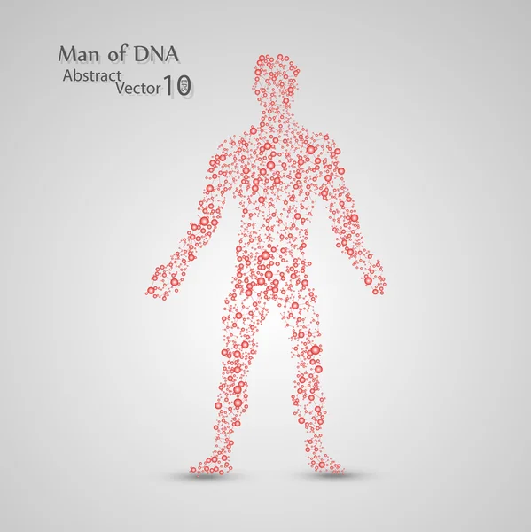 Estructura molecular en forma de hombre — Archivo Imágenes Vectoriales