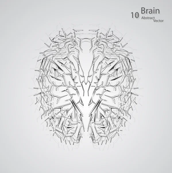 Concepto creativo del cerebro humano — Vector de stock