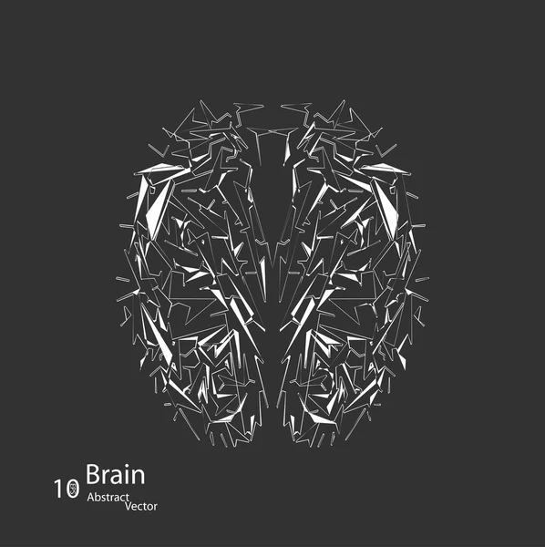 인간 두뇌의 창조적인 개념 — 스톡 벡터