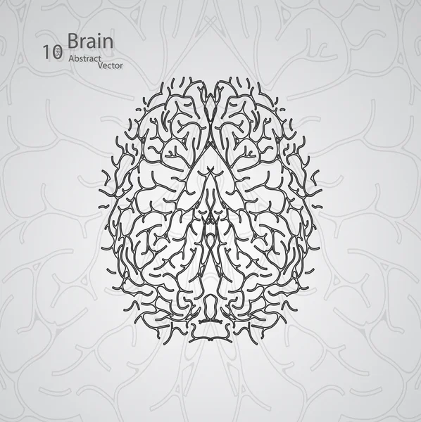 Concepto creativo del cerebro humano — Vector de stock