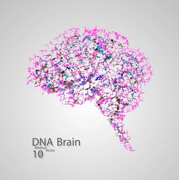 Struttura molecolare sotto forma di cervello — Vettoriale Stock