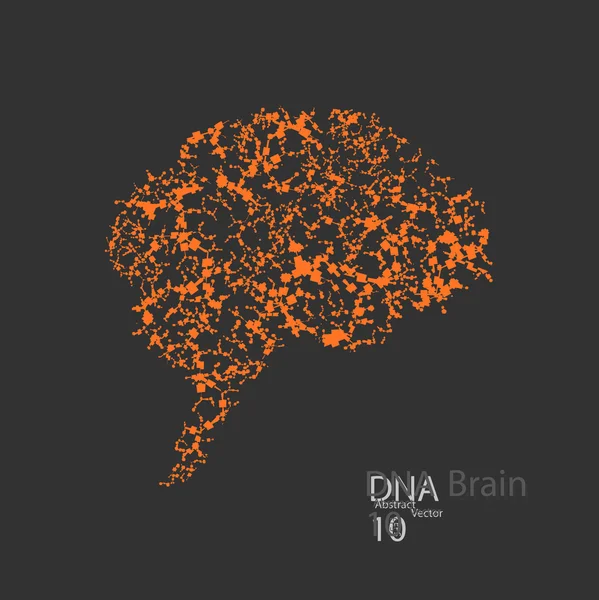 Estructura molecular en forma de cerebro — Vector de stock