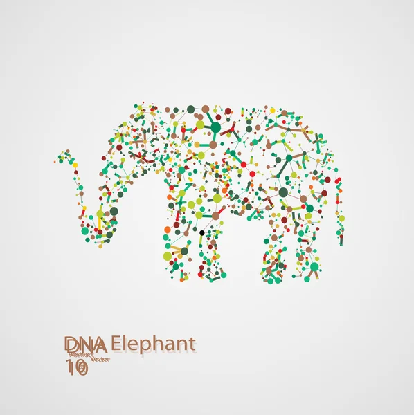 Molecular structure in the form of elephant — Stock Vector