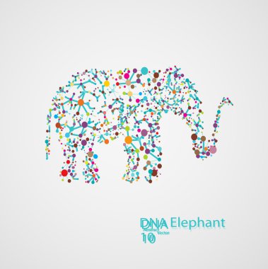 Fil şeklinde moleküler yapısı