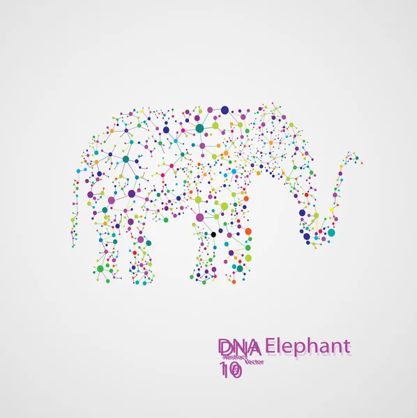 Molecular structure in the form of elephant — Stock Vector
