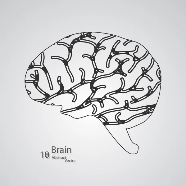 人間の脳の創造的な概念 — ストックベクタ