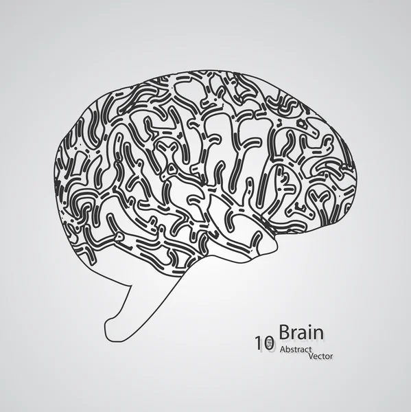 Concepto creativo del cerebro humano — Archivo Imágenes Vectoriales