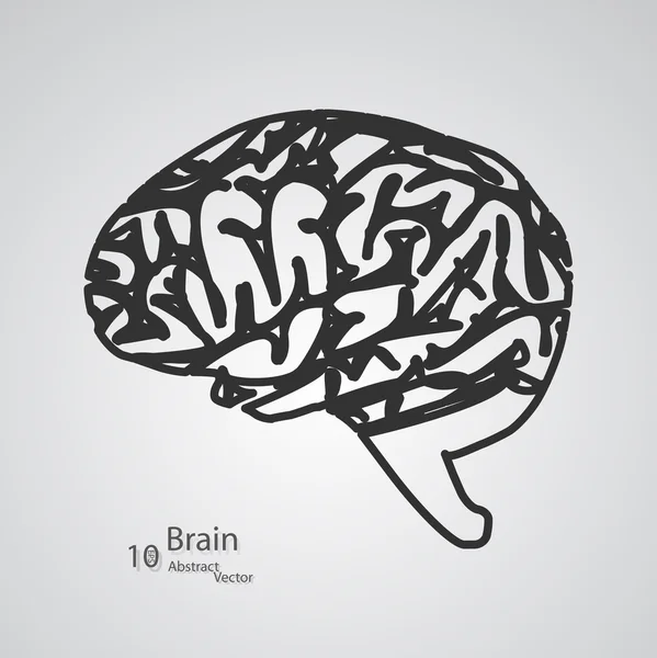 Творческая концепция человеческого мозга — стоковый вектор