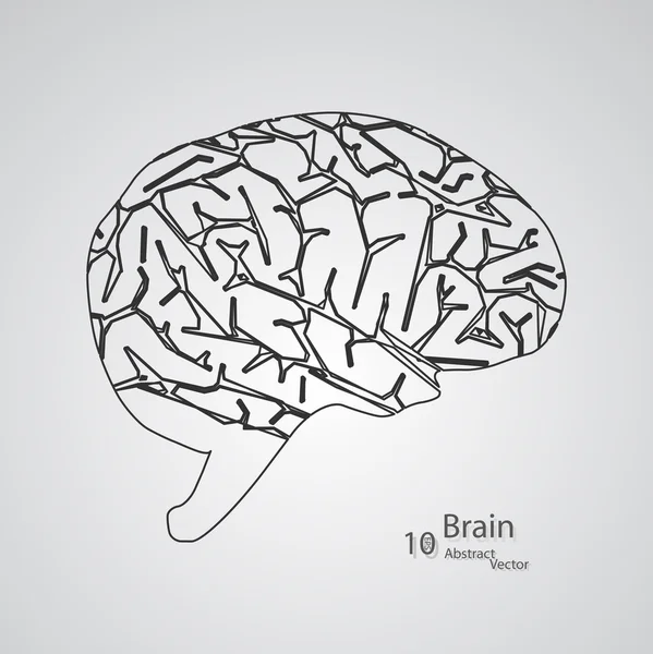 Conceito criativo do cérebro humano —  Vetores de Stock