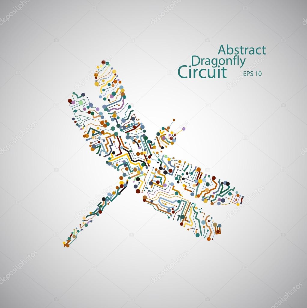 Circuit board dragonfly eps 10