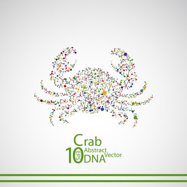 Yengeç şeklinde moleküler yapısı