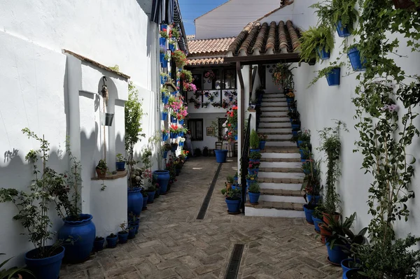 Binnenplaats die versierd met bloemen, Cordoba, Spanje — Stockfoto
