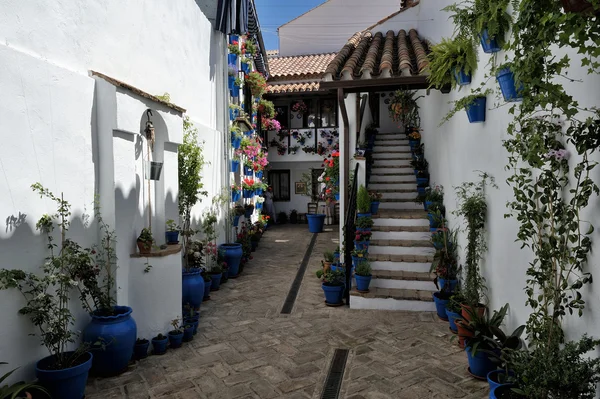 Pátio decorado com flores, Córdoba, Espanha — Fotografia de Stock