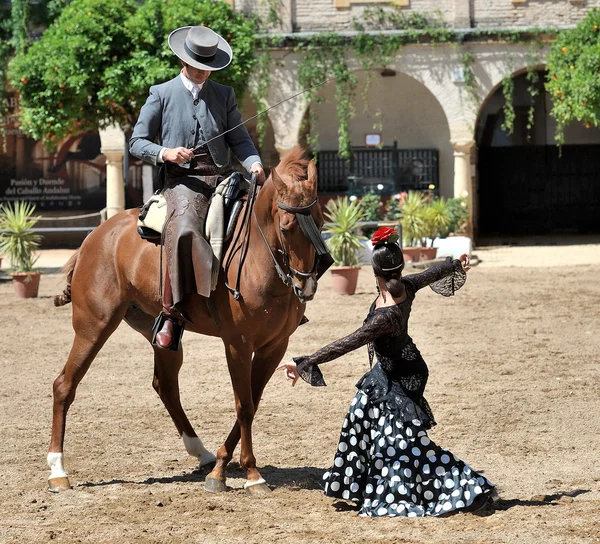 Espectáculo ecuestre, Córdoba, España — Foto de Stock