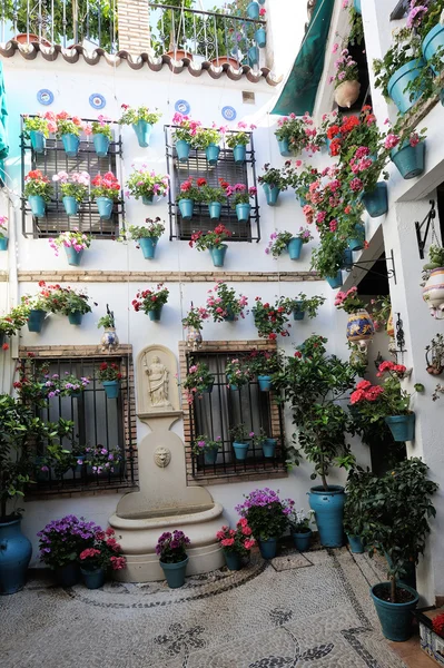 Pátio decorado com flores, Córdoba, Espanha — Fotografia de Stock