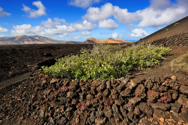 Volcanic mountains at Lanzarote Island, Canary Islands, Spain — Stock Photo, Image