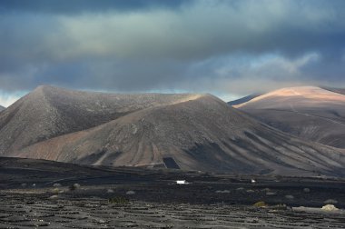 la geria Vadisi, Adası lanzarote, Kanarya Adaları, üzüm bağları, 