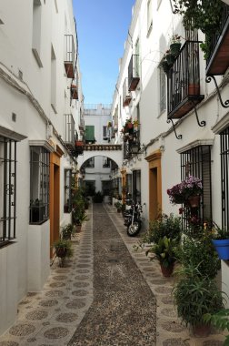 avlu çiçekler, Cordoba, İspanya ile dekore edilmiştir. 
