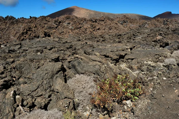 Vulkanische berge auf lanzarote, kanarische inseln, spanien — Stockfoto