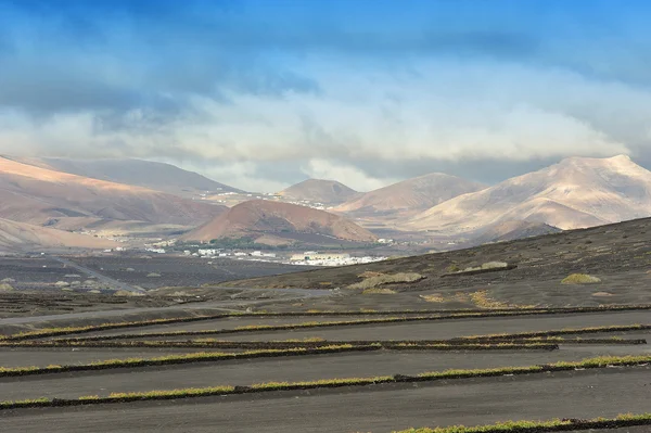 Vigneti a La Geria Valley, Isola di Lanzarote, Isole Canarie , — Foto Stock